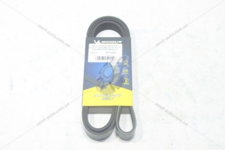 Ремінь поліклиновий Ford Focus III 1.6 EcoBoost/ VW T5, T6 2.0d MICHELIN '6PK1555B