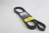 Ремінь поліклиновий MB E-Class (W211), S-Class (W220) (6PK2380) MICHELIN '6PK2380 (фото 8)