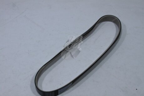 Ремінь генератора 2110-12/2170 (16кл) б/ГУР (струмковий) (L=737) MICHELIN '6PK737