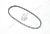 Ремінь клиновий Seat Toledo I/ VW T4, Passat B3/B4 1.9d MICHELIN 'AV11X650 (фото 8)