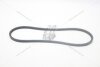 Ремінь клиновий Mazda 323 (III,IV)/ Nissan Patrol (00-) MICHELIN 'AV13X1075 (фото 5)