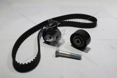 Комплект ремня ГРМ Ford Mondeo IV, Kuga (I,II)/ Fiat Scudo (10-16) 2.0d MICHELIN 'FM010672