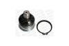 Опора шаровая передняя нижняя OPEL AGILA (B) (H08) 08-14/SUZUKI SPLASH (EX) 08- MONROE L69508 (фото 3)