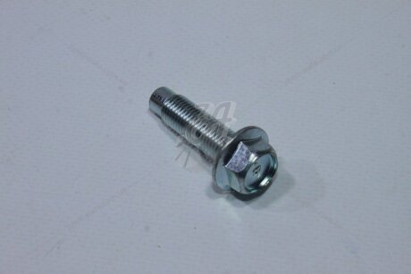 Болт зірки мастилонасоса Rogue (15-) 2,5i CVT NISSAN '081B70301A