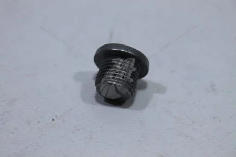 Пробка мастилозливна МКПП Qashqai (14-) 1,5d MT (1112800Q0B) Nissan NISSAN '1112800Q0B