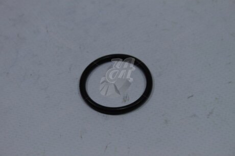 Кільце ущільнююче передн кришки ДВЗ Rogue (15-) 2,5i CVT NISSAN '150663Z001