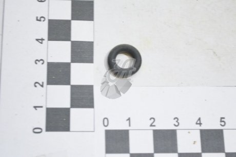 Кольцо уплотнительное форсунки NISSAN 166185L300 (фото 1)