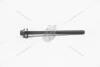 Болт головки блоку Jumper,Boxer,Jumper 3.0 HDi 06>(X4) (0204 C8) Citroen/Peugeot Peugeot/Citroen 0204C8 (фото 7)