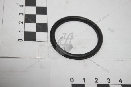 Прокладка коллектора впуск DW8 (кольцо) (1 из 4х) / Peugeot/Citroen 036534 (фото 1)