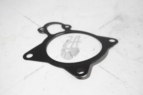 Прокладка помпы Citroen Jumper3/Peugeot Boxer3 (1206 F1) Citroen/Peugeot Peugeot/Citroen 1206F1 (фото 1)