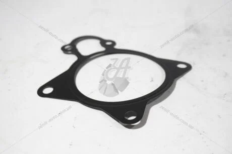 Прокладка помпы Citroen Jumper3/Peugeot Boxer3 (1206 F1) Citroen/Peugeot Peugeot/Citroen 1206F1
