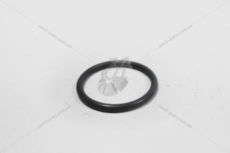 Ущільнювач термостату Jumper3/ Boxer3 PUMA 22DT 100, 120, 130 Л.С. (1340 91) Citroen/Peugeot Peugeot/Citroen 134091