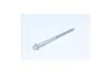 Болт кріплення скоби форсунки Jumper3/ Boxer3 PUMA 22DT 100, 120, 130 Л.С. Citroen/Peugeot Peugeot/Citroen 1610369580 (фото 1)