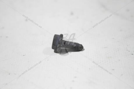 Болт крышки привода ГРМ Jumper3-Boxer3 (6925 W6) Citroen/Peugeot Peugeot/Citroen 6925W6