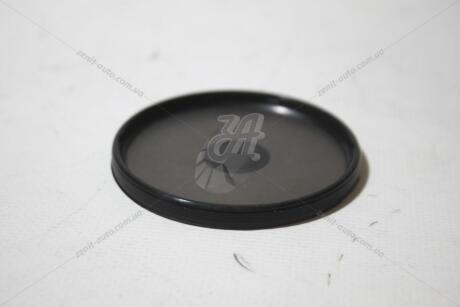 Фото 1 - заглушка ГБЦ 63,2mm 1,9-2,5dci Master, Trafic, Kangoo RENAULT 110214061R Заглушка ГБЦ 63,2mm 1,9-2,5dci Master, Trafic, Kangoo RENAULT 110214061R (фото 1)