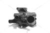 Термостат 1,6 dci Megane III, Scenic III, Trafic III (14-) RENAULT '110614599R (фото 1)