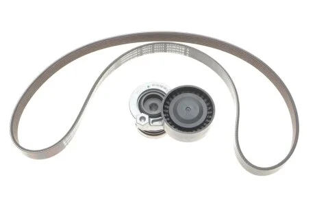 Ремкомплект приводного ремня 6PK1176 1,4-1,6I/1,5dci Renault Duster II, Megane III, Clio IV (117201925R) Renault RENAULT '117201925R