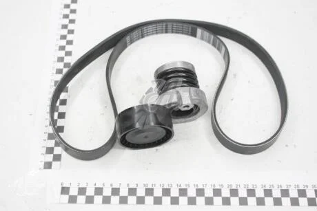 Комплект ременя генератора Renault RENAULT 117202339R