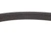 Комплект ременя генератора с AC 1.5dci Renault Kangoo II, Captur, Megane III Renault RENAULT 117202495R (фото 6)