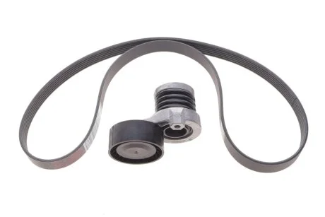 Комплект ремня генератора Renault RENAULT 117202506R