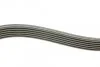 Комплект ременя генератора 1,5dci 1.6 16V Renault RENAULT 117203694R (фото 2)