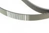 Комплект ременя генератора 1,5dci 1.6 16V Renault RENAULT 117203694R (фото 4)