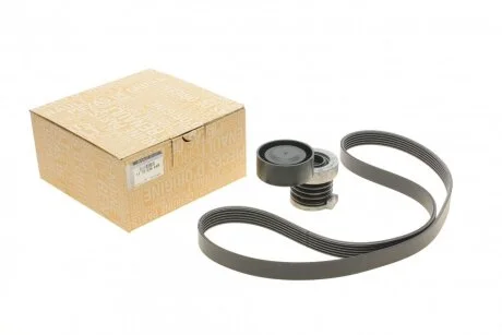 Комплект ременя генератора 1,5dci 1.6 16V Renault RENAULT 117203694R