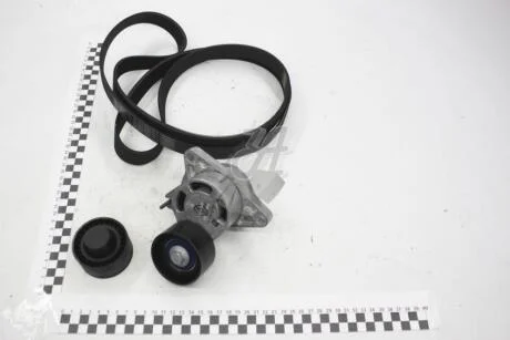 Комплект ременя генератора 2,5 dci Renault Trafic II,.Master II Renault RENAULT 117206887R