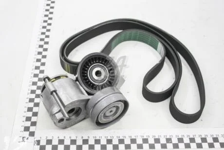 Комплект ременя генератора Megane III, Scenic III Renault RENAULT 117207538R
