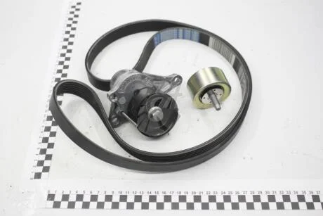 Комплект ременя генератору 2.3 dCi Master III, 2.0 dciTrafic II Renault RENAULT 117209956R