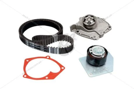 Ремкомплект ГРМ +помпа 1,9 dci Renault Megane III, Scenic III (09-16) (119A09639R) Renault RENAULT '119A09639R