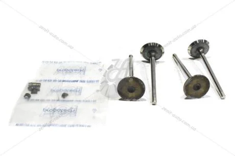 Клапан впускной 1,5 dci Renault Dokker, Lodgy (13-) (132018900R) Renault RENAULT '132018900R