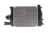 Интеркулер Duster RENAULT 144967634R (фото 4)