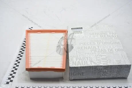 Фільтр повітряний 2,0 dci/ 2,0 16V Renault Megane III, Scenic III 2009- Renault RENAULT 165463884R