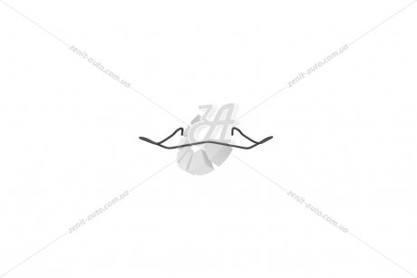 Пружина супорта гальмівного переднього Dokker (2013-) RENAULT 410832774R (фото 1)