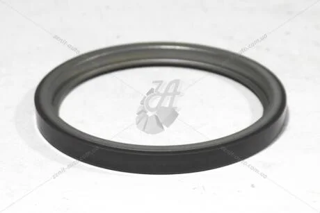 Кільце АБС (479700660R) Renault RENAULT '479700660R