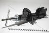 Амортизатор передний Opel Vivaro/ Trafic III (14-) RENAULT 543029028R (фото 1)