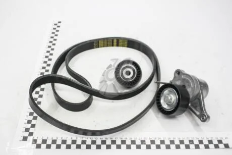 Комплект ременя генератора 2,0 dci Renault Trafic II, Master II 2006- Renault RENAULT 7701477213