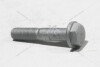 Болт крепления опоры ДВС M12 Megane II (02-) RENAULT 7703002735 (фото 2)