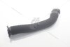 Патрубок повітряного фільтра 1,5dci Kangoo I (97-), Clio II RENAULT 8200039843 (фото 1)