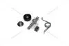Ролики нижньої петлі зсувних дверей ремкомплект Peugeot Boxer/Fiat Ducato/Citroen Jumper (06-) Roll Roll PFCNB03 (фото 1)
