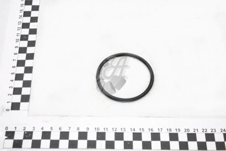 Кольцо уплотнительное обратного клапана SSANGYONG 1119970445 (фото 1)