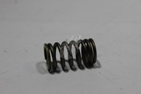 Пружина клапана (кратно 8) Korando G20 (10-) SSANGYONG '1720530020
