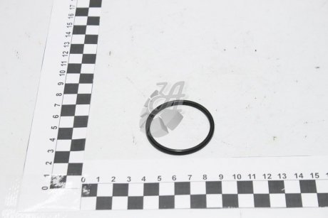 Кільце ущільнювача вакуумного підсилювача гальм SSANGYONG 4850308000 (фото 1)