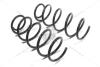 Пружина подвески передняя (кратно 2) Skoda Fabia (00-10,11-)/VW Polo (02-10)/Seat Cordoba (03-09),Ibiza (02-10) TANGUN 'S54000 (фото 1)