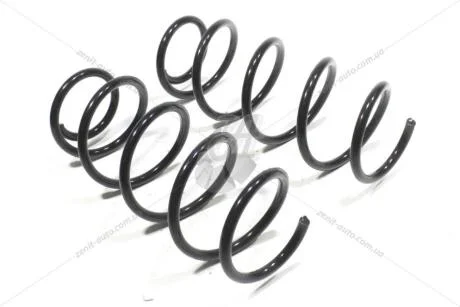 Пружина підвіски передня (кратно 2) Skoda Fabia (00-10,11-)/VW Polo (02-10)/Seat Cordoba (03-09),Ibiza (02-10) (S54000) TANGUN 'S54000