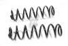Пружина підвіски ззаду (кратно 2) VW Golf IV (97-05)/Skoda Rapid (S55002) TANGUN 'S55002 (фото 1)