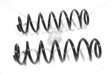 Пружина подвески задняя (кратно 2) VW Golf IV (97-05)/Skoda Rapid TANGUN 'S55002