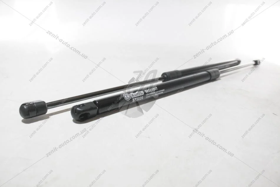 Пружина газова багажника Opel Astra G (430N) 290-540мм TANGUN S73026 (фото 1)