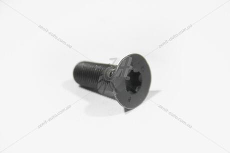 Болт VAG 06D109281D